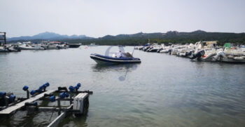 WILLIAMS SPORTJET 4353