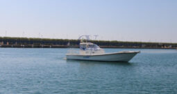 TECNOYACHT PUMA 2000
