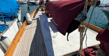 MALABAR VI84