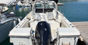 ROBALO10