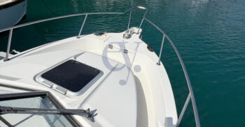 ROBALO29