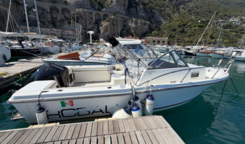 ROBALO9