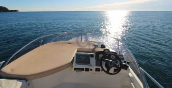 cranchi 4356
